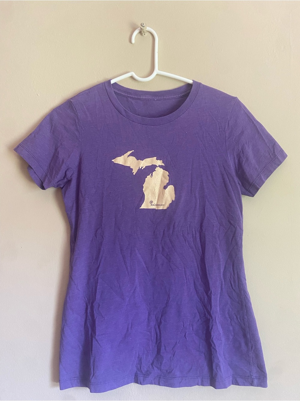 Purple Michigan Silhouette Crewneck Tee